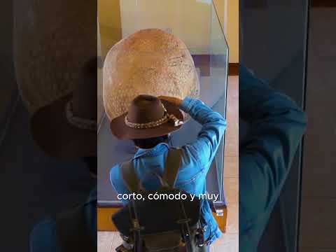 Video del tour