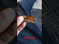 How To Roll Backwood PT 2 Tuck Roll Stoner Rollingreels Backwood