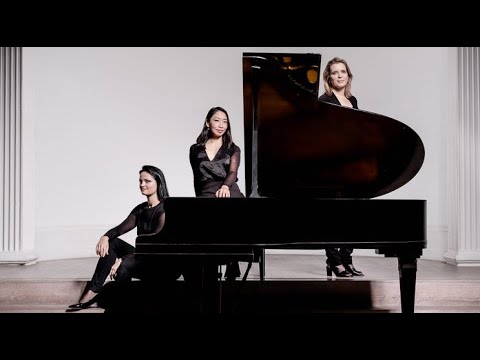 Brahms: Trio in A minor Op. 114 - Clarinet Trio (arr. for violin, cello and piano) - Greenwich Trio