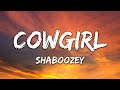 Shaboozey Cowgirl Lyrics