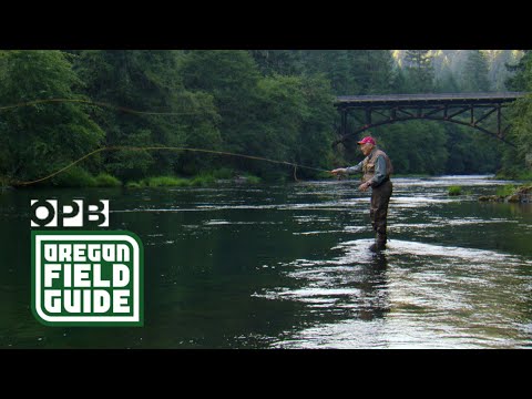 Fly fishing with the legendary Frank Moore | Oregon Field Guide