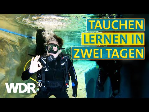 Kann es Johannes - Tauchen | WDR