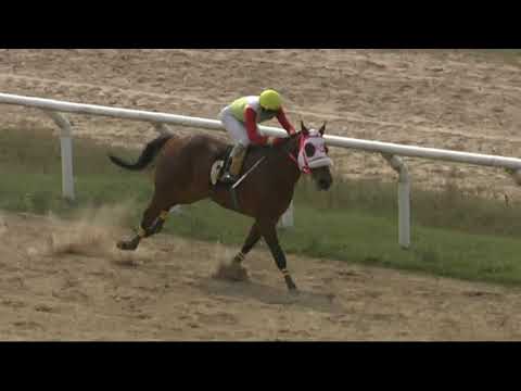 24/09/2020 – Hipodromo Melo – Carr 6 –  ESPECIAL: EQUINO “DON JULIO”