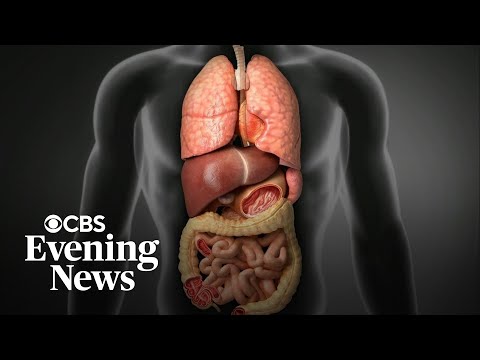 Ozempic and Wegovy ingredient may reverse liver disease