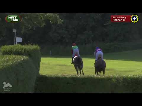 Preis der Stadtwerke - Seejagdrennen