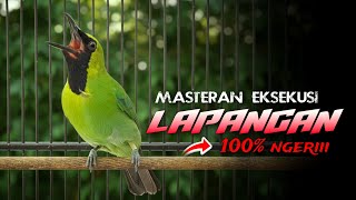 Download lagu 🔴100% NGERI‼️CUCAK IJO GACOR FULL TEMBAKAN COCOK BUAT MASTERAN DI LAPANGAN mp3 Download lagu 🔴100% NGERI‼️CUCAK IJO GACOR FULL TEMBAKAN COCOK BUAT MASTERAN DI LAPANGAN mp3