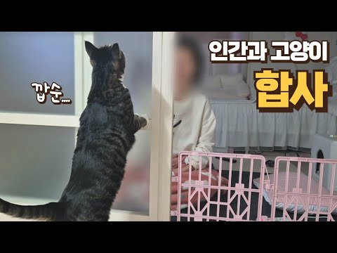 관계 개선을 위해 깝순이랑 보름이를 분리시켰더니 놀라운 일이 일어났어요!