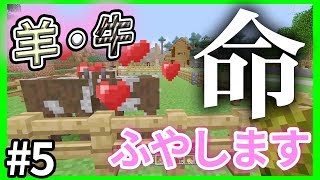 【マイクラ＃5】羊と牛を集めるのにすごく苦戦しましたｗｗ