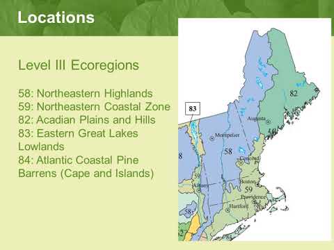 Common Orchid Project Program Overview Video