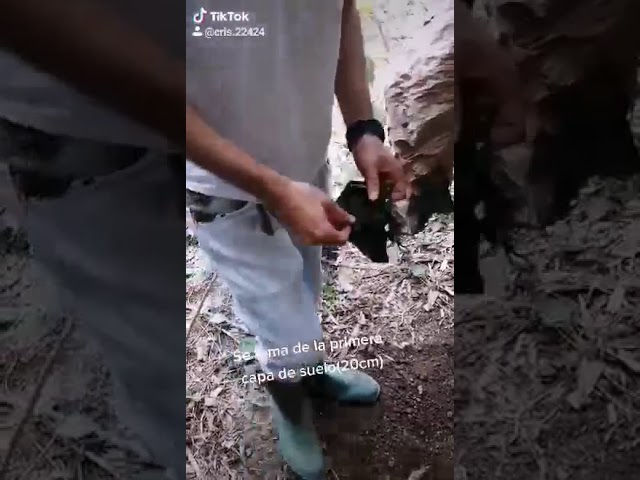 Vídeo relacionado con Red Glove - Twilight - Bolsas protectoras, SPGREEN