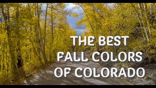 Best Places to see the Autumn colors in Colorado