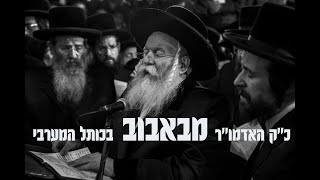 האדמו''ר מבאבוב מתפלל בבכיות בכותל המערבי | Bobov Rabbi