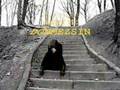 TANER AFFETMEDİM KENDİMİ 