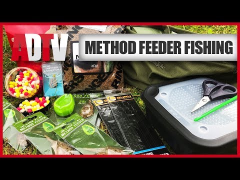 Learn To Method Feeder Fish