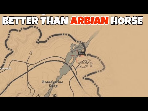 You'll Find This Horse Only Once Time in Entire Game - RDR2