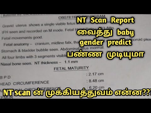 What is NT scan/Importance of NT scan/3rd month pregnancy boy baby scan report/Gender prediction????