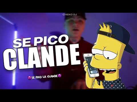 SE PICO LA CLANDE🤪😈 || ALTA JODA (CHEKO DJ) 🍑PURO PERREO RKT🍑 [ACTIVA LA CLANDE]