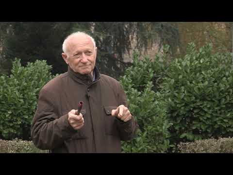 Boja meda ep.97 - 14.01.2020. - Karakteristike dobre zime, italijanska pčela, položaj košnica...