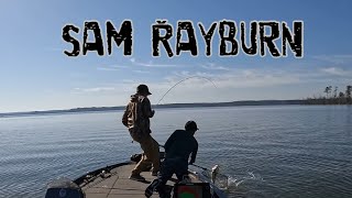 Sam Rayburn MARCH Bass FISHING