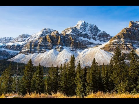 FotoPro C-50i + FPH-52Q Video #1