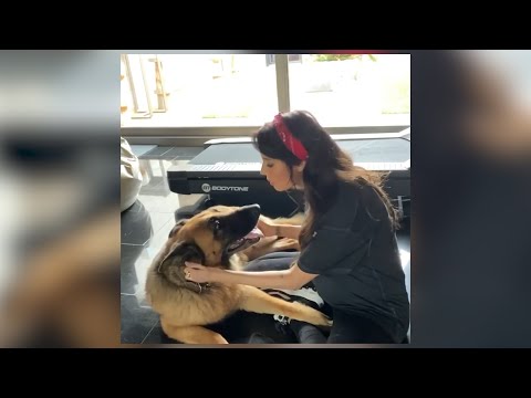 Pilar Rubio muestra cómo cepilla y acaricia a sus perros