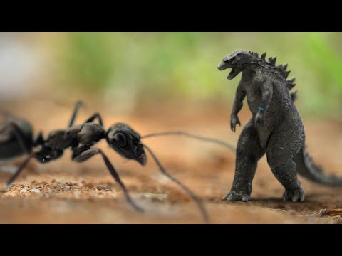 Micro-Godzilla: King of the Insects