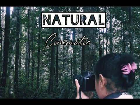 Cinematic Alam Gunung Meja Manokwari