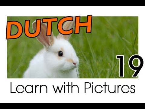 Learn Dutch Vocabulary with Pictures - Farm Animals