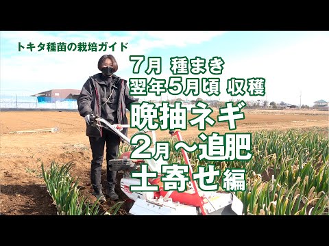 キョウチクトウの肥料は何ですか