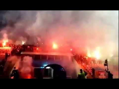 Peluzele Nord & Sud -  Show la antrenament