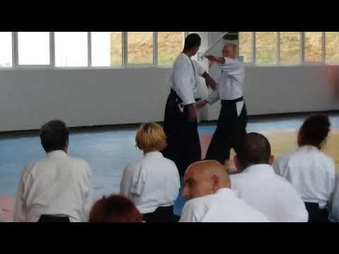 Seminar in Varna 15-17.06.2017 - Makoto Ito - Video 17