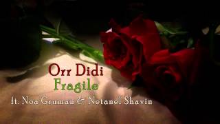 Orr Didi ft. Noa Gruman & Netanel Shavin - Fragile