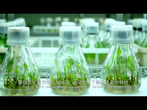 智慧農業－組織培養苗智慧化生產管理
