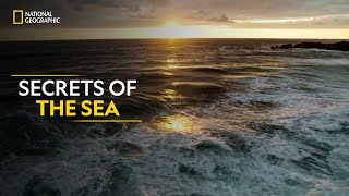 Secrets of the Sea  Hostile Planet  Full Episode S