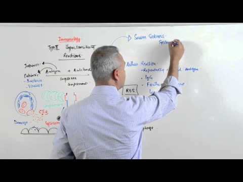 Immunology lecture 15 - Type III Hypersensitivity Reactions 3/6
