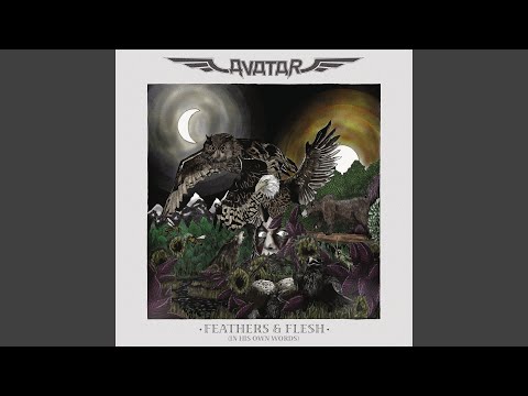 Videoclip de Each Feather a Blade — Avatar