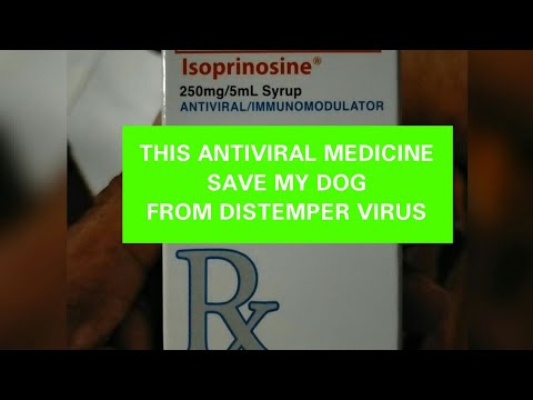 How to survive in Canine Distemper Virus