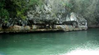 preview picture of video 'Tour Samana With Terry #9 Excursion to Los Haitises N.P.  Nature Preserve'