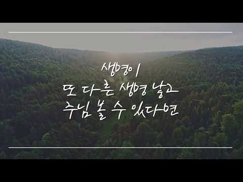 밀알 - 천관웅 (공식 가사 비디오) [OFFICIAL LYRIC VIDEO]