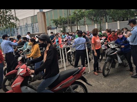 Công ty bảo vệ Thành Long 2026