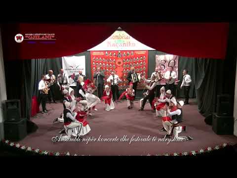 Dokumentari i Ansamblit Gjilani (2003 - 2018)