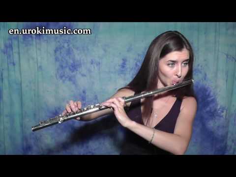 Flöte Lernen Taylor Swift - Shake It Off Cover Flötenunterricht Noten Schule Lied Lehrer Klasse