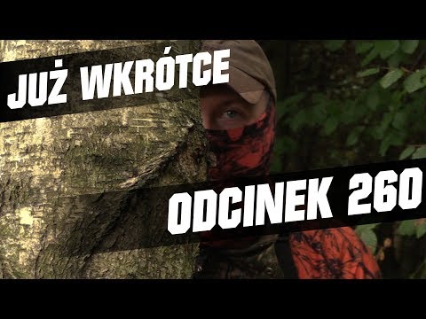 Darz Bór zapowiedź odcinka 260