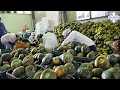 Large amount food making in korean food factory