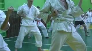 preview picture of video 'Карате Белгород karate-belgorod-federation-kiokushinkai'