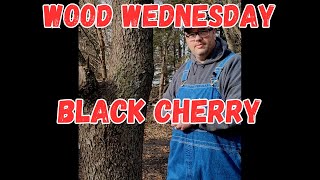 The sweet Black Cherry!  Wood Wednesday  One of my favorite woods   Great smell, dries quick