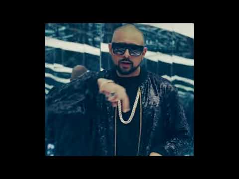 Stefflon Don - Hurtin Me (Remix  Visualiser) ft. Sean Paul Popcaan Sizzla