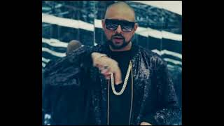 Stefflon Don - Hurtin Me (Remix  Visualiser) ft. Sean Paul Popcaan Sizzla