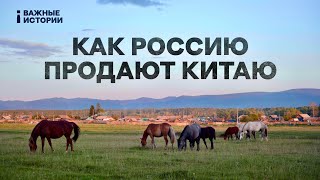 Как уничтожают природу России ради угля для Китая