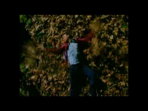 Ανδρέας Στάμος - Κρίμα - Official Video Clip